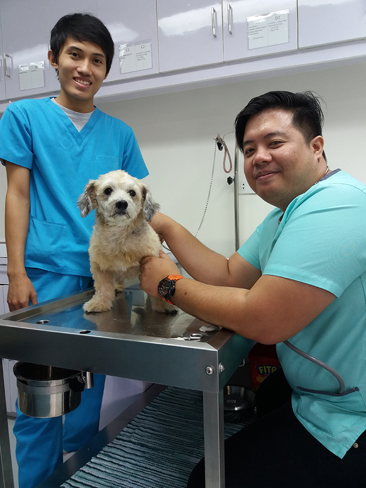 Dog Vaccination Schedule Chart Philippines