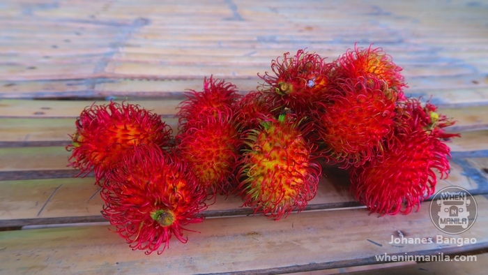 No Limits KFB Farm Resort: A Great Choice for a Relaxing Getaway 4 no limits kfb farm resort