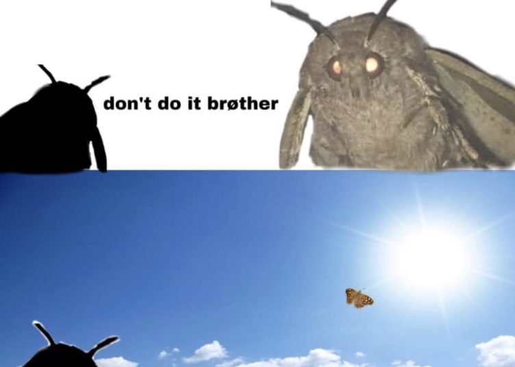 Moth meme