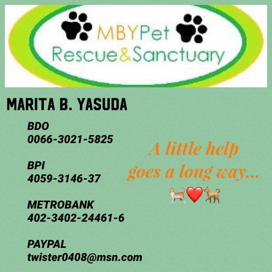 MBY Pet Rescue and Sanctuary 3