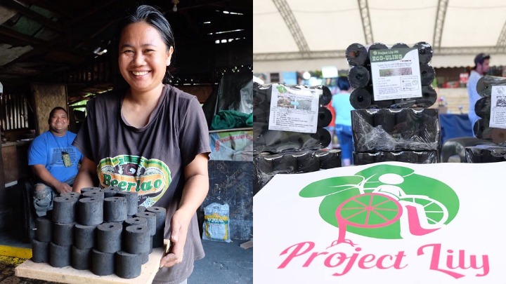 PWD Employees Project Lily