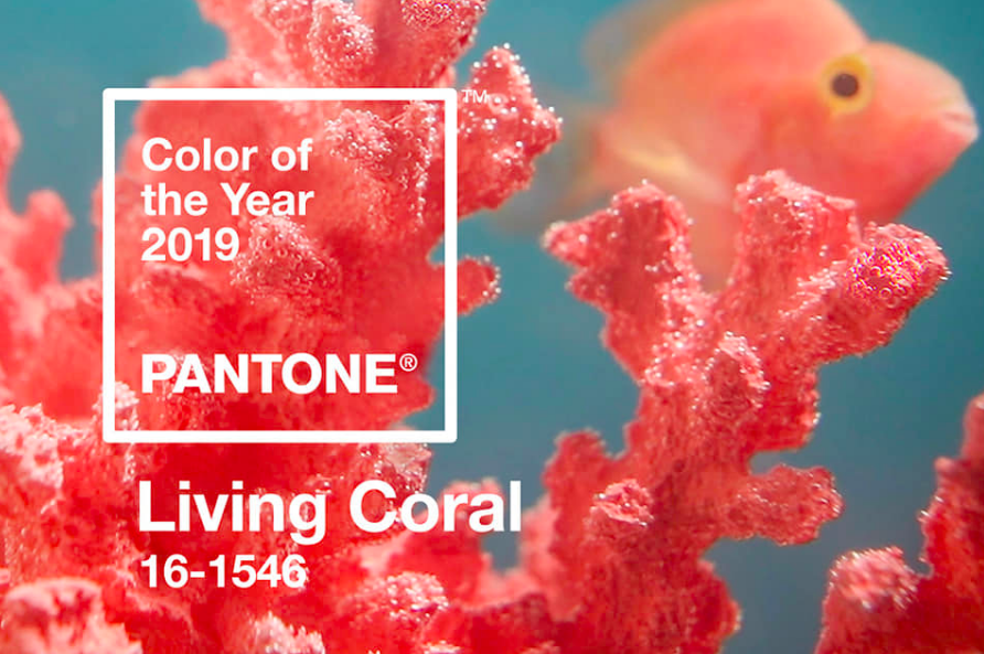 Pantone Color 2019
