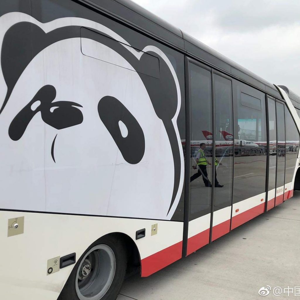 china airline panda 2