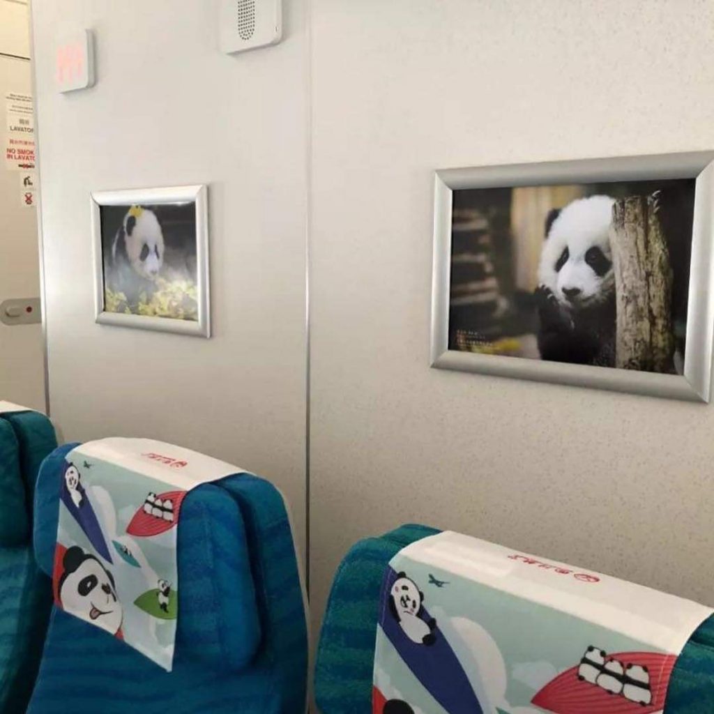 china airline panda 4