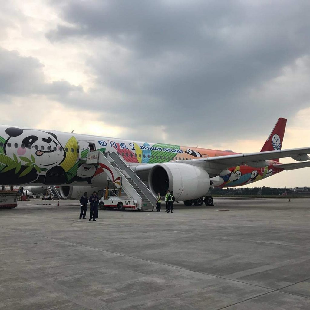 china airline panda 5