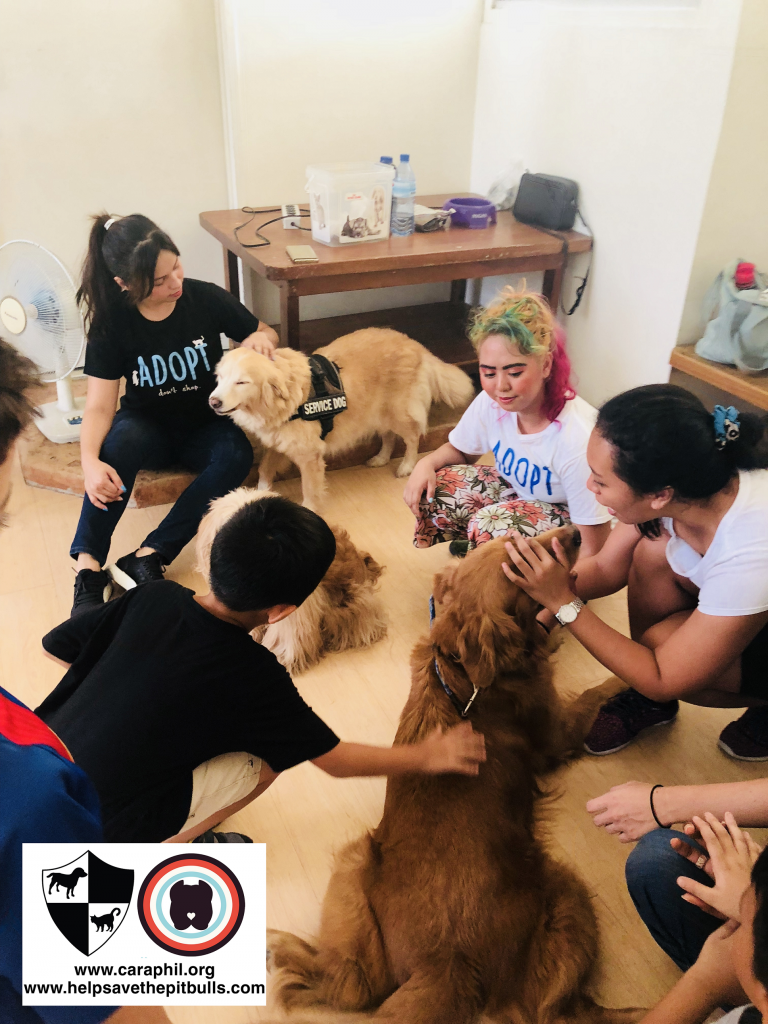 Ginger and Kimchi during a school visit 2018