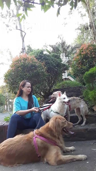 This woman takes care of 83 rescues all on her own and she needs our help 2 Faith Rescue 2