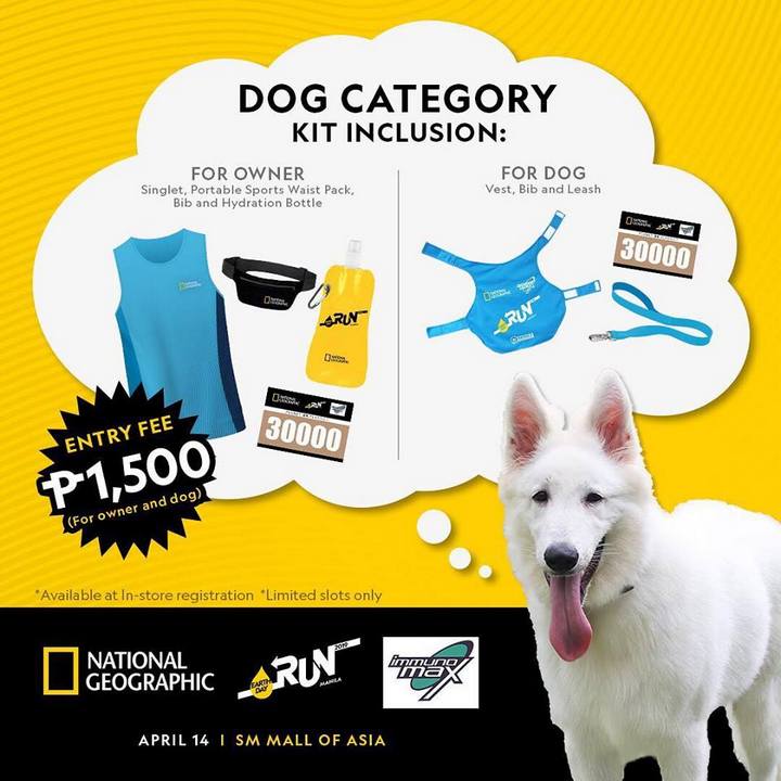 Runners Unite for NatGeo's Campaign vs Plastic Waste via Earth Day Run 2019 3 NatGeo dog