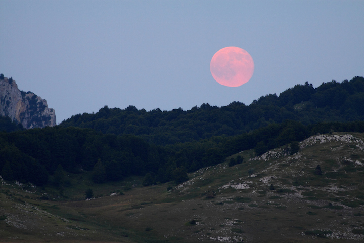 full pink moon
