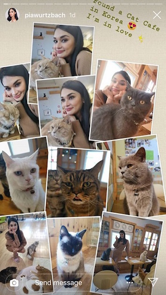 pia wurtzbach cat cafe ig