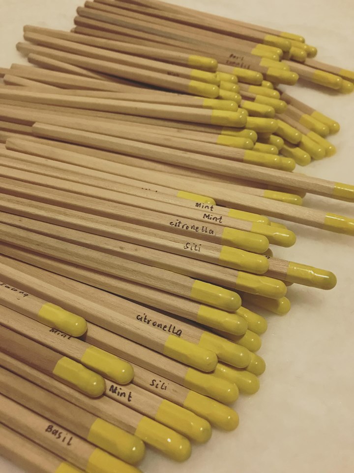 WhenInManila Plantable Pencils