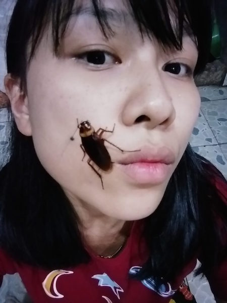 cockroach challenge 2