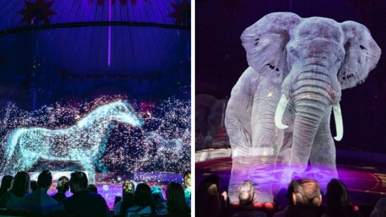 hologramanimals