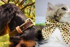 Pawdel genuine leather collars and bow ties for dogs and pets