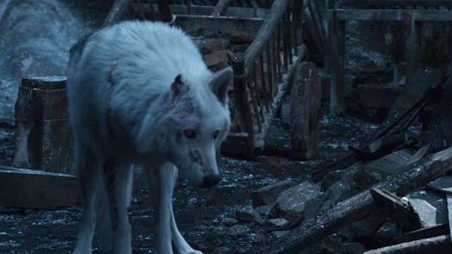 game of thrones ghost deserved better problem 1