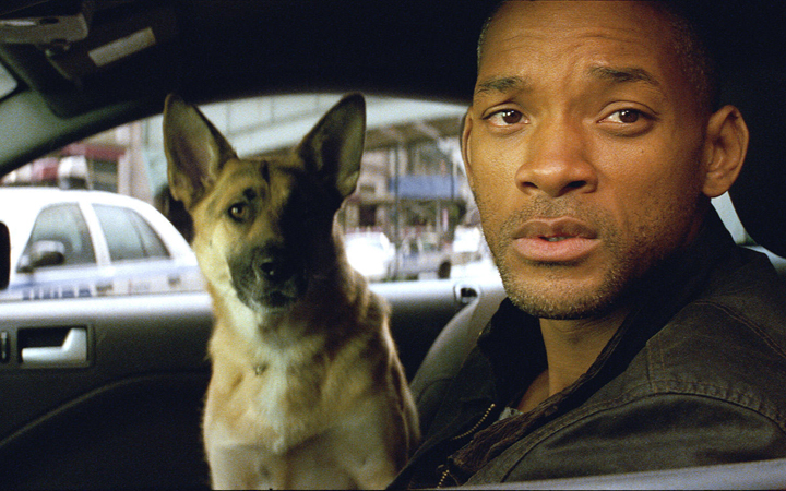 will smith dog i am legend