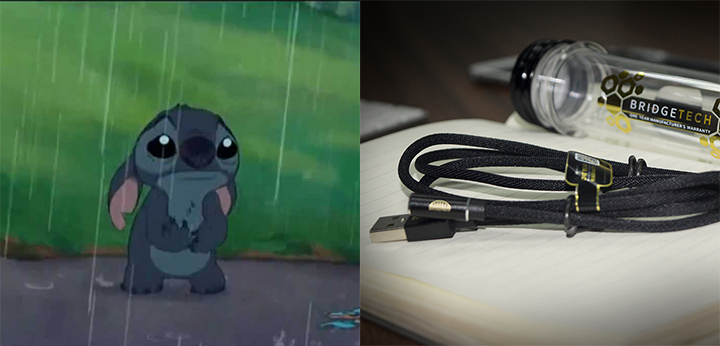 Bridgetech Charging Cable