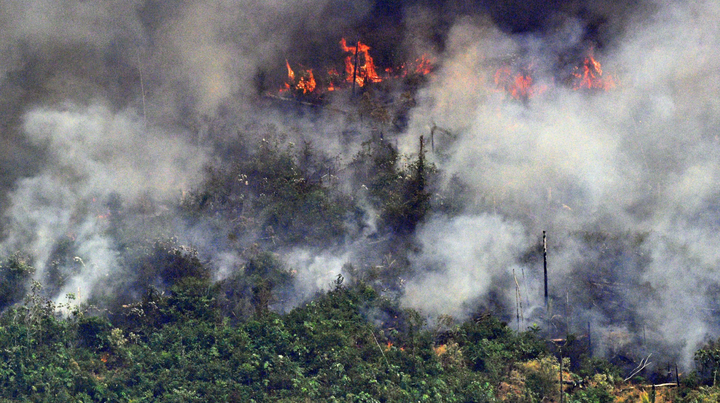 amazon rain forest fire