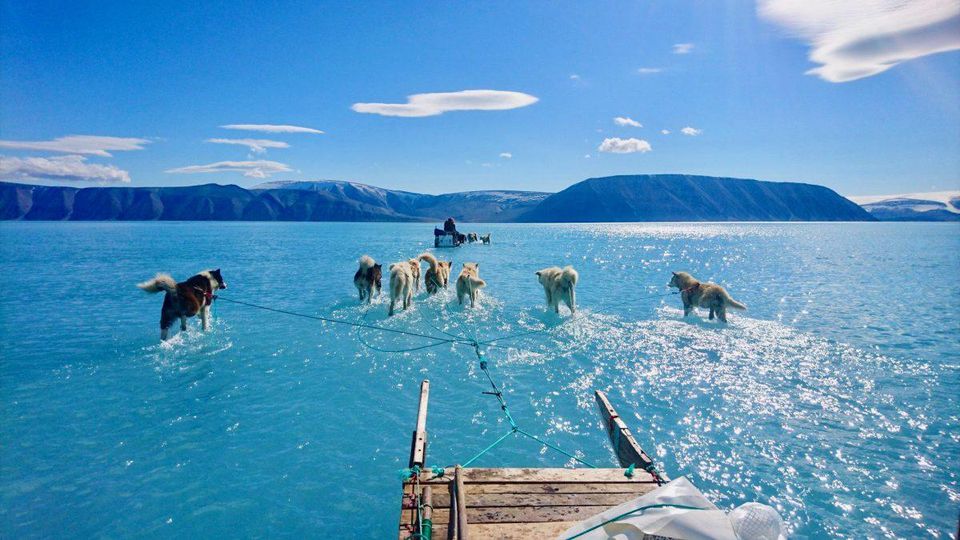 https blogs images.forbes.com trevornace files 2019 06 sled dogs greenland