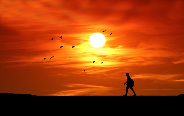 sunset silhouette man walking