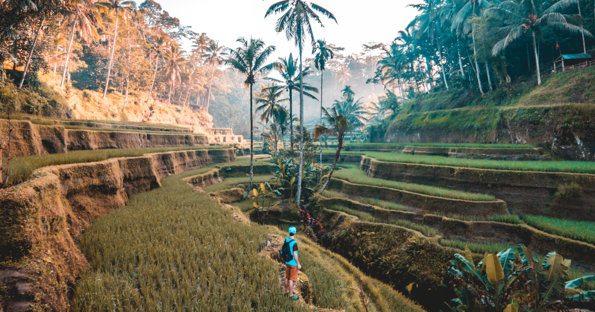 travel indonesia mountain trees vacation tourist province
