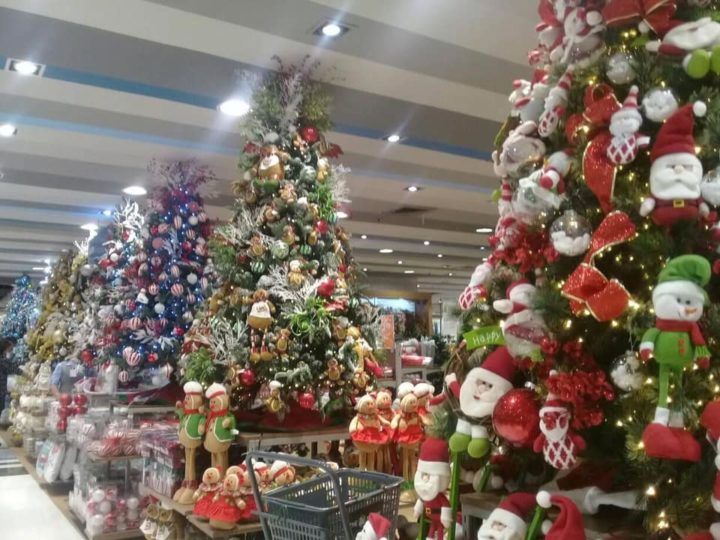 Christmas Trees e1567661938578