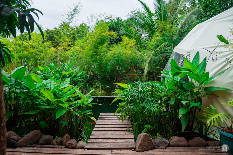 Domescape: Experience Glamping to the Next Level 3 Domescape Batangas 011