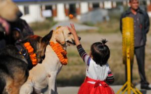 Dog festival Nepal