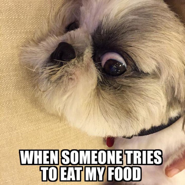 Dont Take My Food Meme