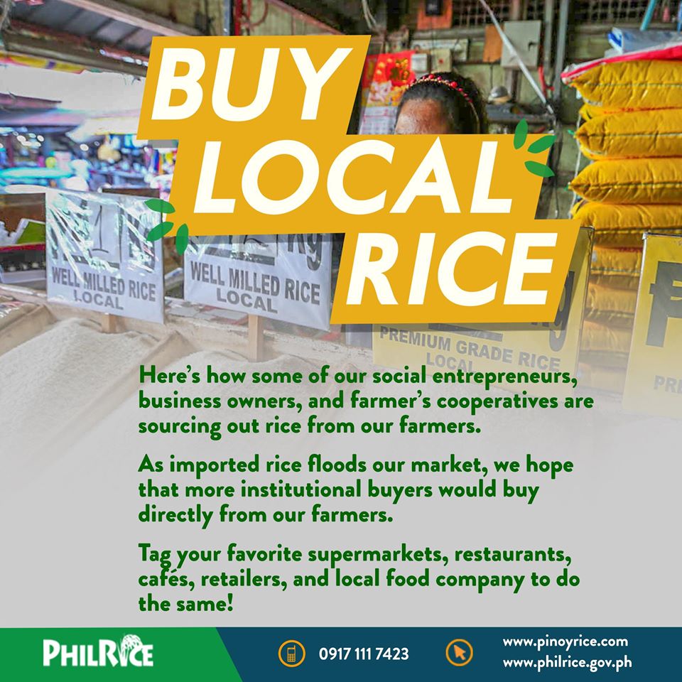 Our Struggling Filipino Rice Farmers Why you should care and how you can help 2