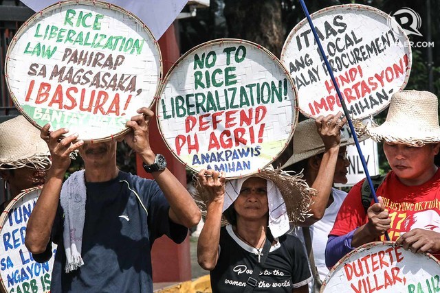 Our Struggling Filipino Rice Farmers Why you should care and how you can help 5