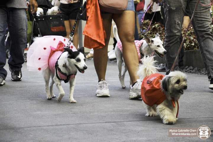 Purina Pet Event Dog Parade