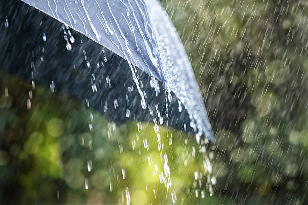rain umbrella stock photo
