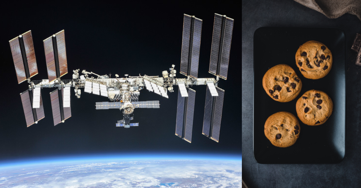 Nasa International Space Station Cookies