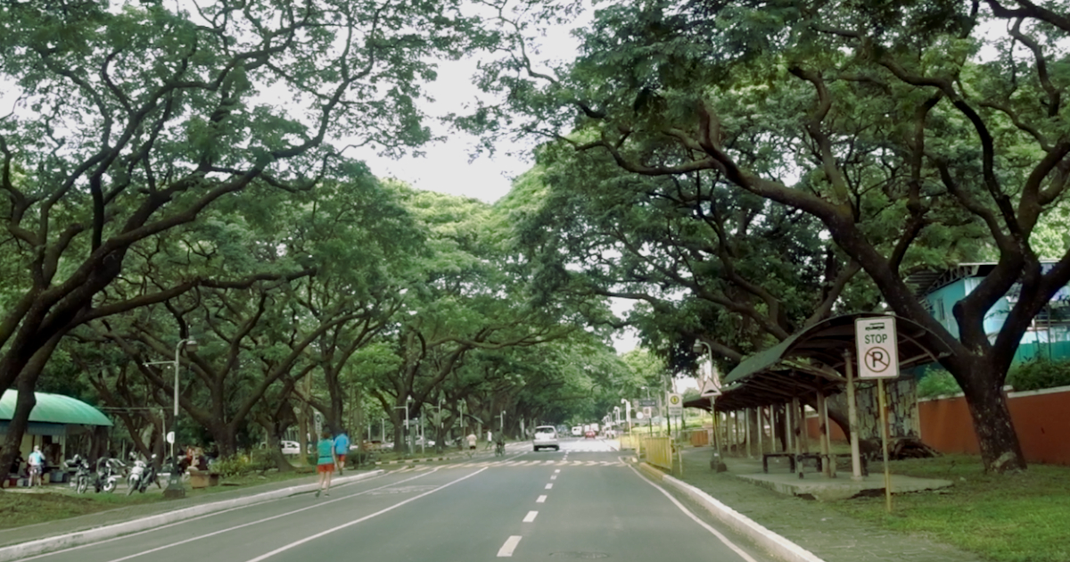 UP diliman
