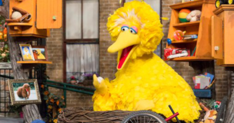 Big Bird