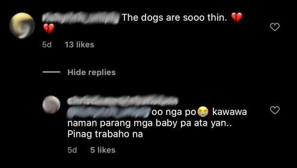 Cristine Reyes dog sledding comment 2