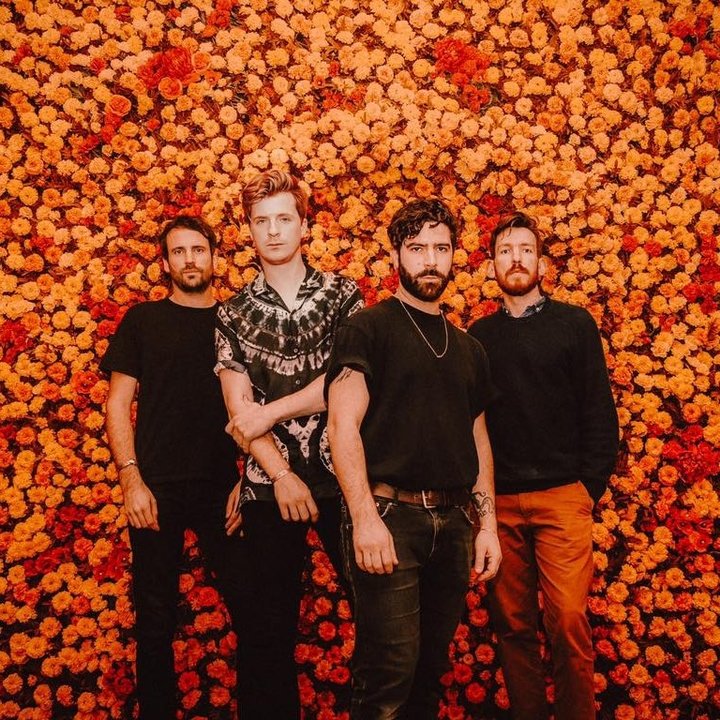 Foals Band Profile