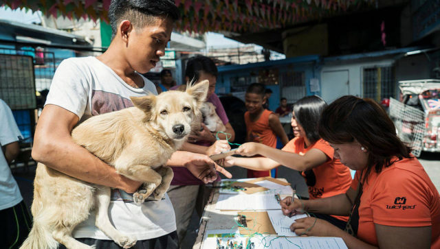 Pasay Pups