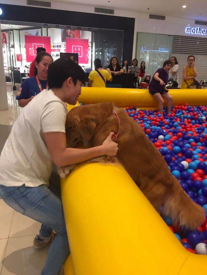 These Funny Pet Stories Will Show You Why Having a Pet is the Best Thing Ever 3