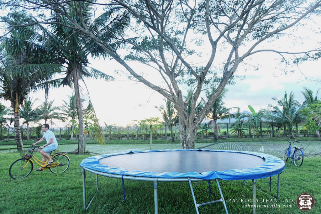 Lotus Pod Bed and Breakfast is Laguna's Secluded Paradise 13 Lotus Pod 25