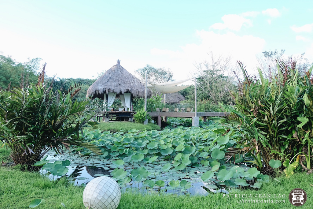 Lotus Pod Bed and Breakfast is Laguna's Secluded Paradise 4 Lotus Pod 7