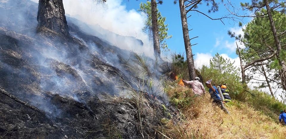 mt pulag closed forest fire