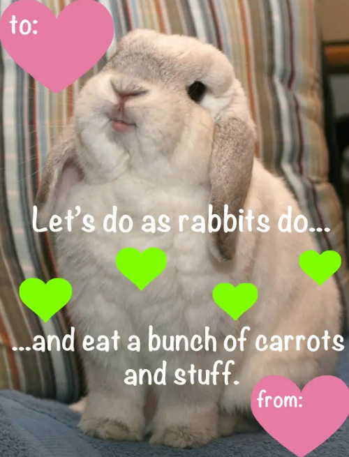 tehcute valentines card