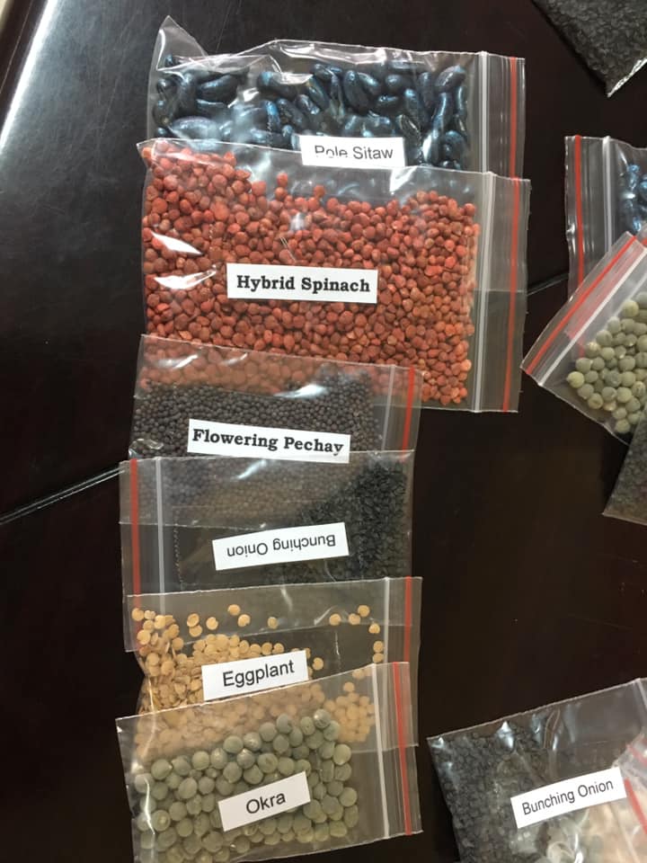 In Baguio, 'sustainable' relief goods are to be distributed amid COVID-19 outbreak 4 baguio vegetable seeds covid 19 1