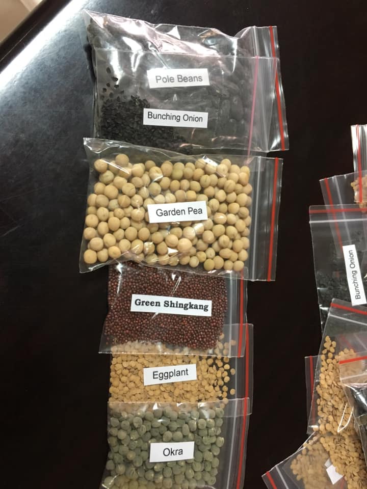 In Baguio, 'sustainable' relief goods are to be distributed amid COVID-19 outbreak 3 baguio vegetable seeds covid 19 4