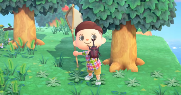 Animal Crossing bugs