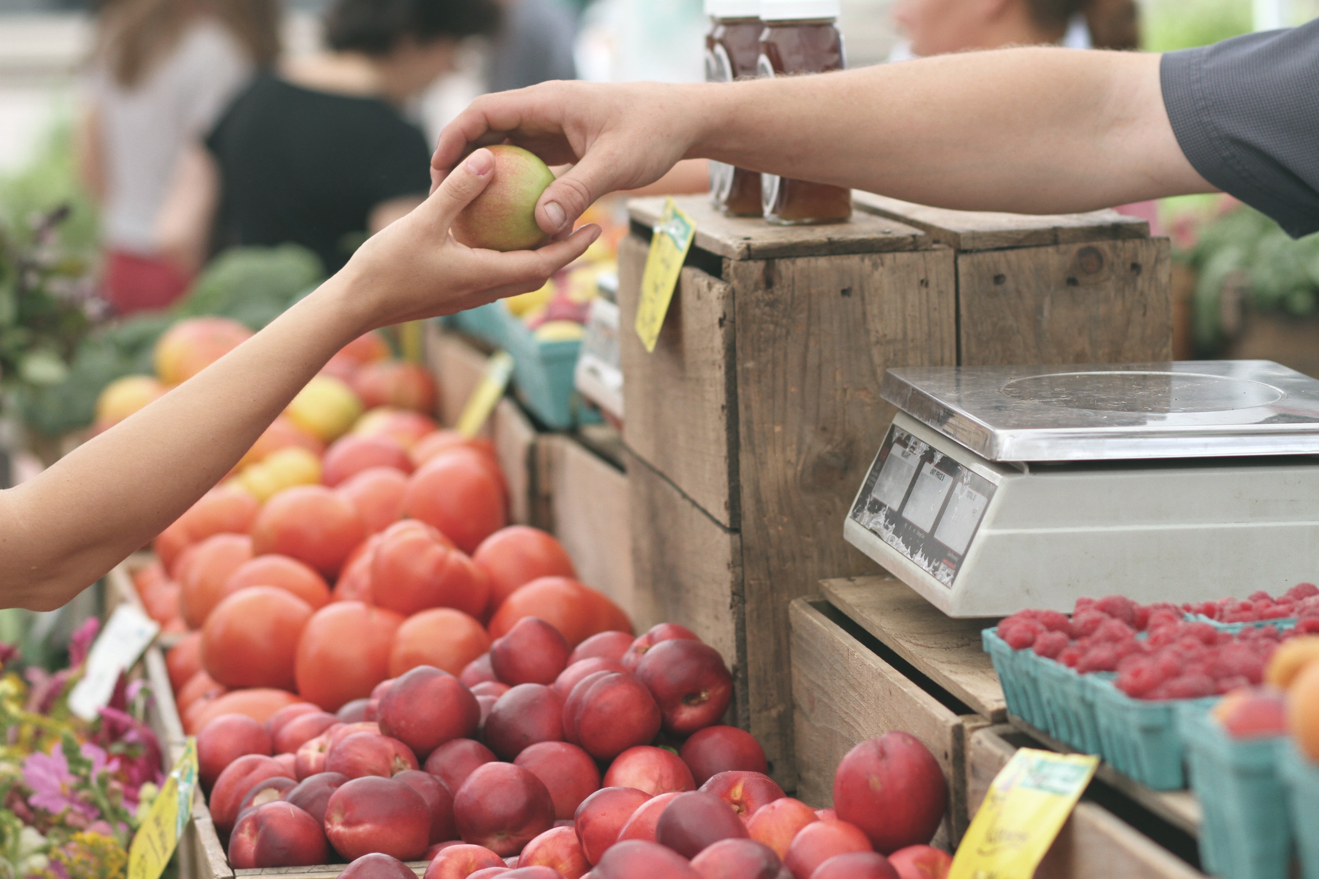 https://www.pexels.com/photo/apple-business-fruit-local-95425/