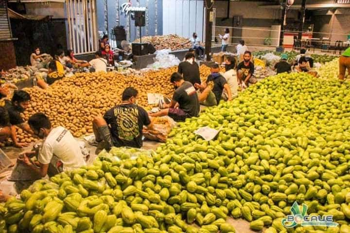 bocaue cordillera vegetables relief 1