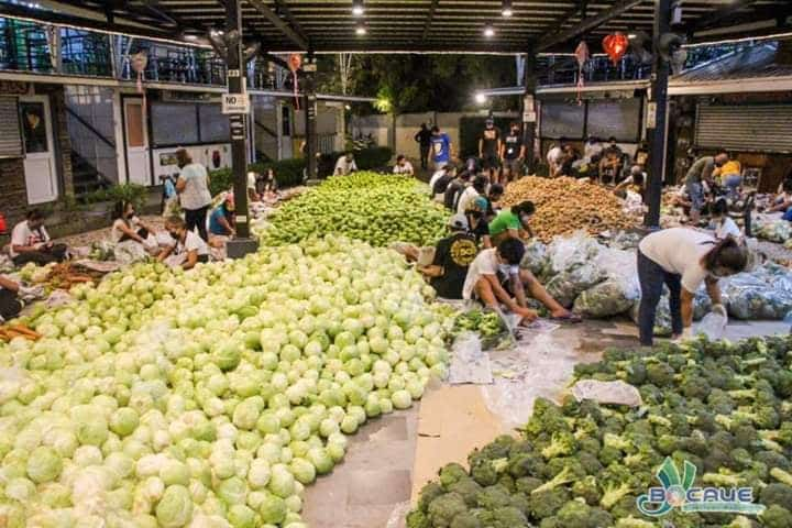 bocaue cordillera vegetables relief 2